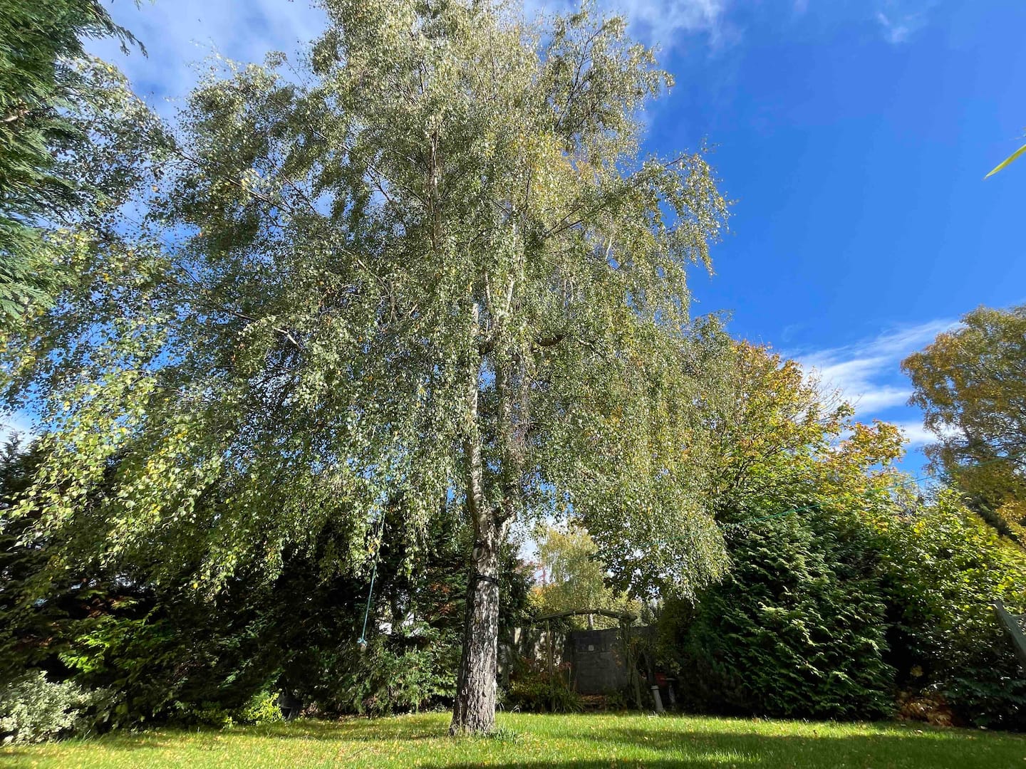 Edge View back garden — the perfect family gathering spot with fire pit and open sky
